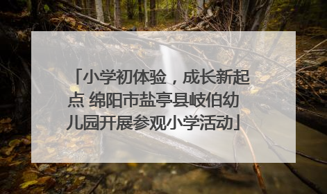 小学初体验，成长新起点 绵阳市盐亭县岐伯幼儿园开展参观小学活动